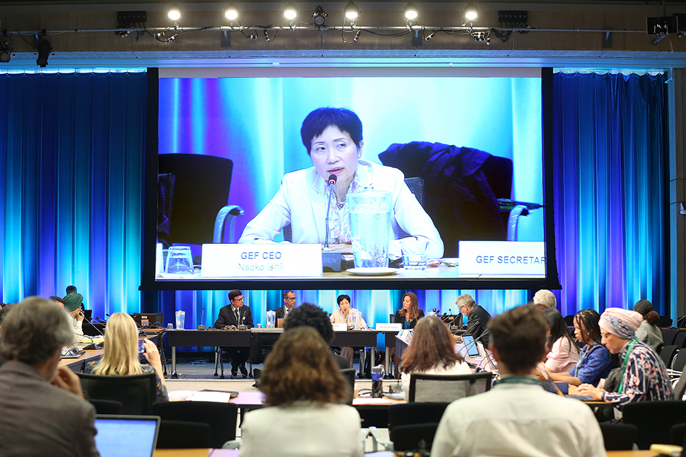 image Fonds pour l'environnement mondial (FEM) en réunion / Du traitement des symptômes de la dégradation de l'environnement à la résolution de ses causes et de ses facteurs